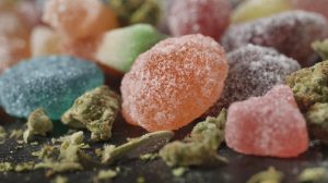 premium cbd gummies