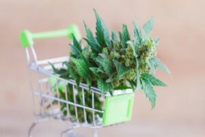 Buy CBD Hemp Flower Online