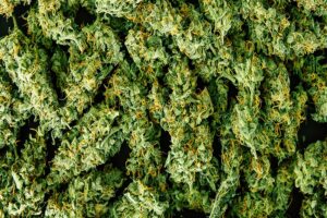 cannabis packaging