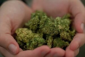 CBD and Stress