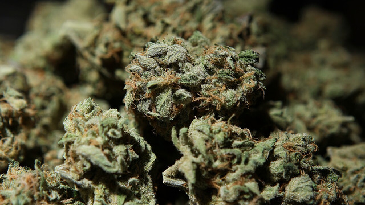 Benefits Of Buying Weed From Online Cannabis Dispensary