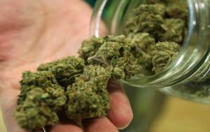 The Best CBD Hemp Flower