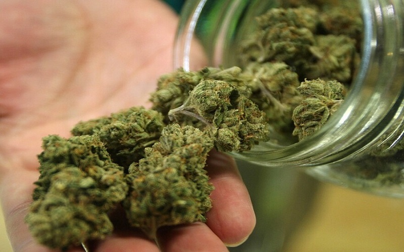 The Best CBD Hemp Flower