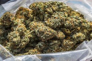 THC 0 flower