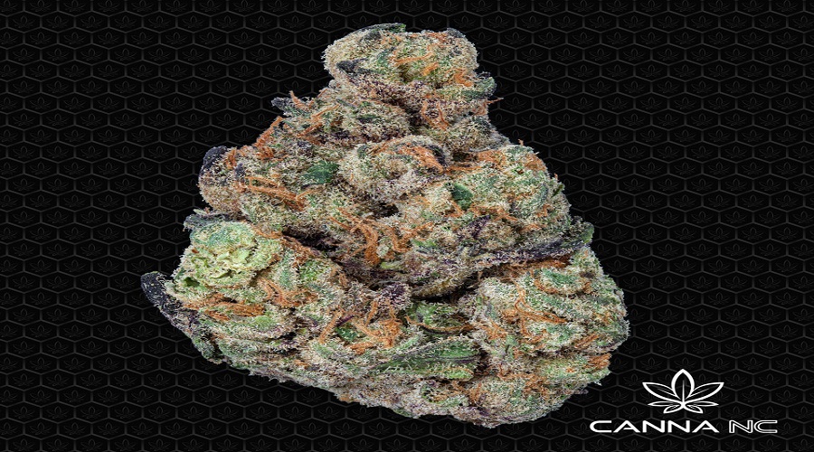 buy wholesale thca raleigh