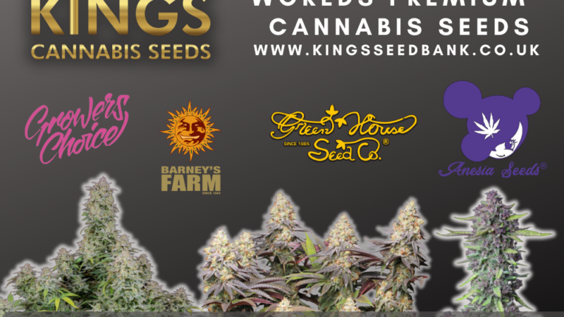 best cannabis seeds UK
