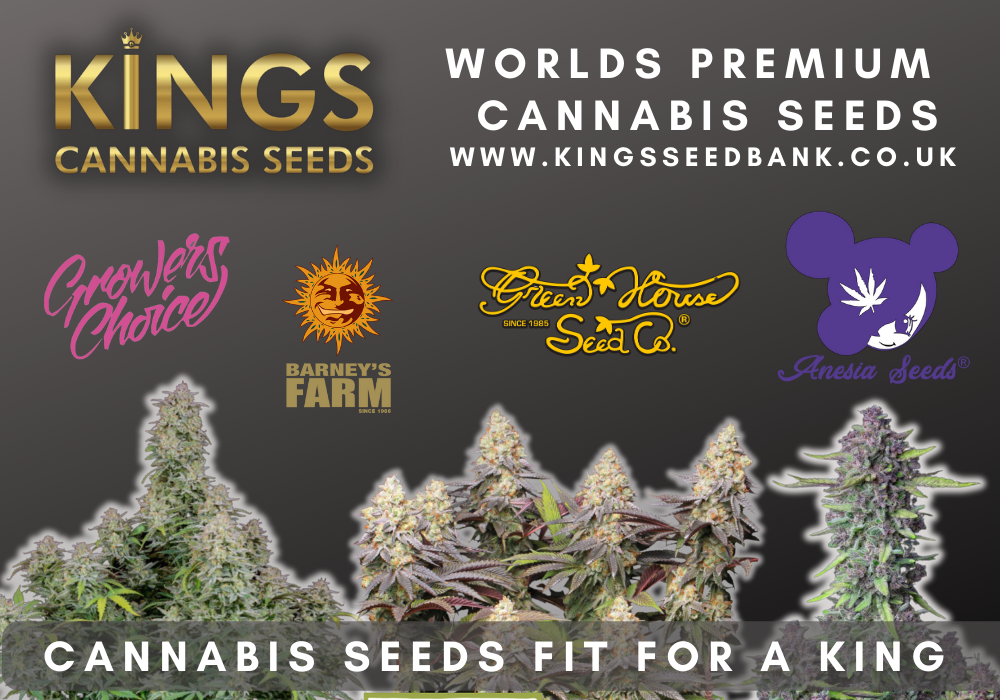best cannabis seeds UK