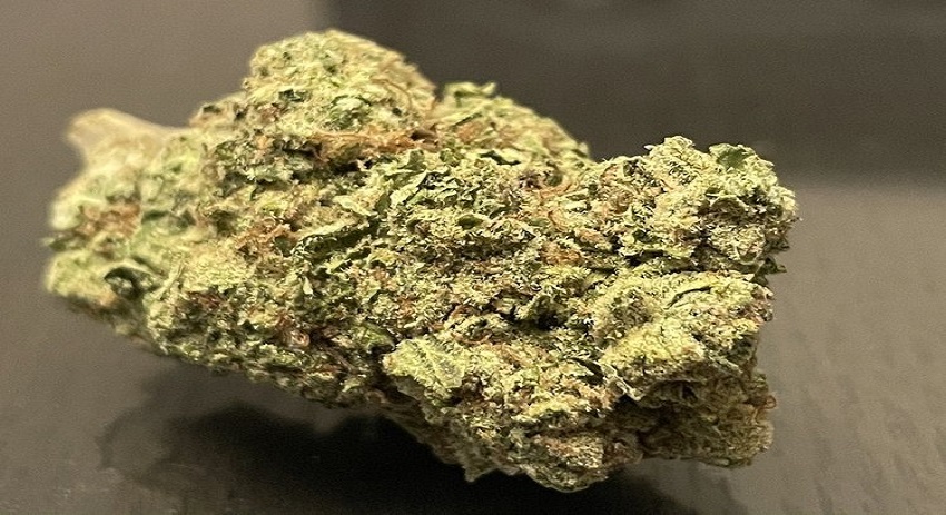 Exploring the Delightful White Gushers Strain: A Cannabis Connoisseur’s Dream