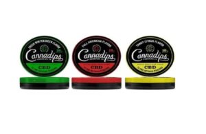 CBD Snus
