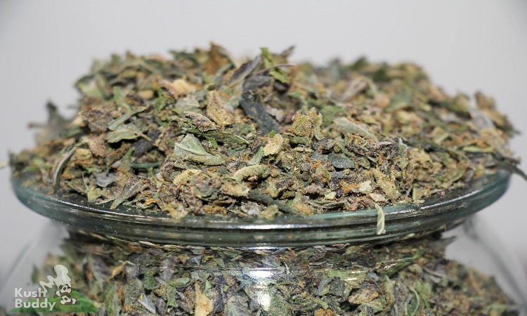 Cheap weed Canada