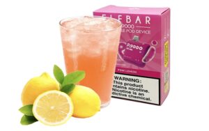 Elf Bar Disposable Pod Device