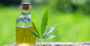 full spectrum CBD oil