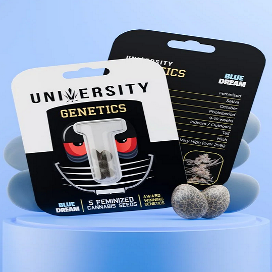 Cannabis Seeds: A Practical Buyer’s Guide to Choosing the Right Genetics