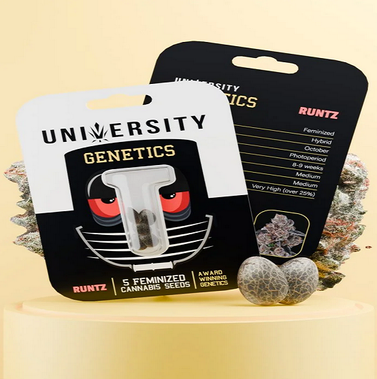 Weed Seeds: What People Usually Want to Know Before They Buy