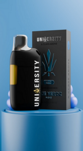 Best disposable vapes